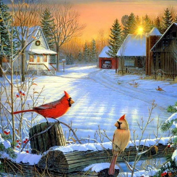 Meet your Posher, Audrey - Picture 1 of 1